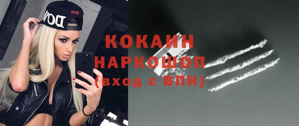 гашик Сатка