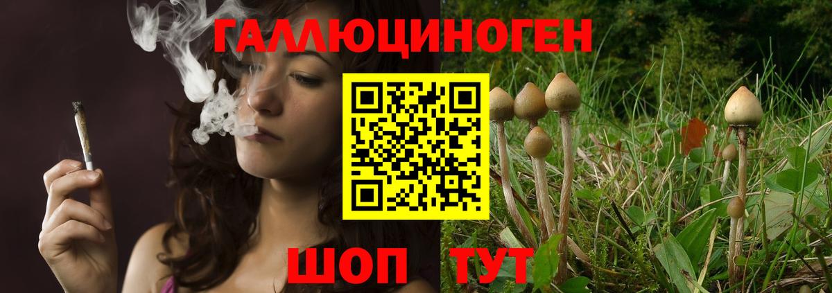 Псилоцибиновые грибы прущие грибы  Вход с VPN  магазин    Галлюциногенные грибы MAGIC MUSHROOMS  Осинники 